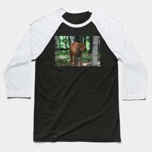 Bison Calf Baseball T-Shirt